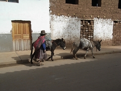 Sacred Valley - Peru
